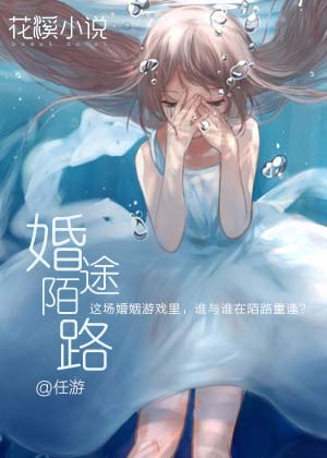 婚途陌路