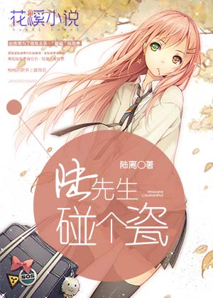 陆先生碰个瓷